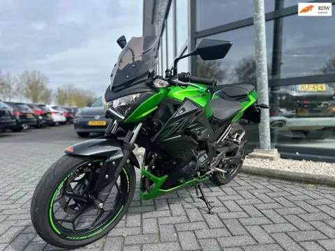 Kawasaki Tour Z 300 ABS | Handvat verwarming | ABS | Recent onderhouden |