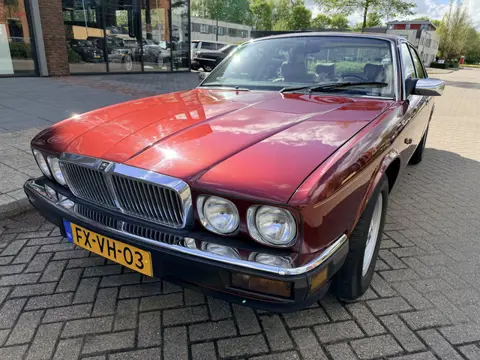 Jaguar XJ 3.2 LE (bj 1993, automaat)