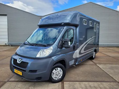 Peugeot Boxer Horsetruck Paarden vervoer / Lage km stand
