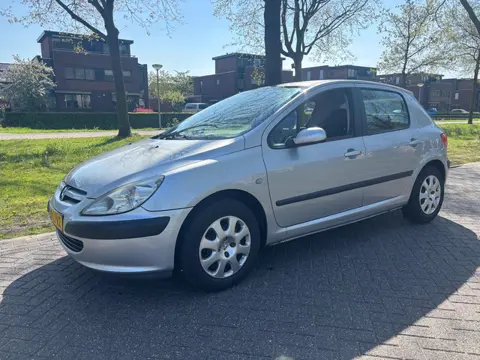 Peugeot 307 1.6-16V XS (bj 2003)