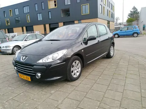 PEUGEOT 307 1.6-16V GRIFFE