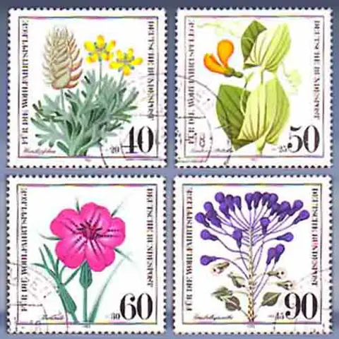 Wohlfahrt (9-okt-80)