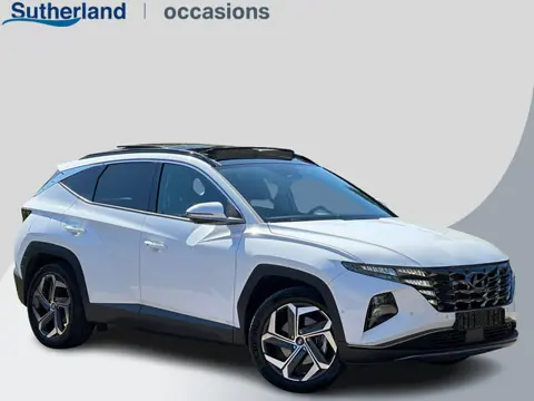 Hyundai Tucson 1.6 T-GDI PHEV Premium Sky 4WD | Panoramadak | Dealer onderhouden | Leder | Achteruit