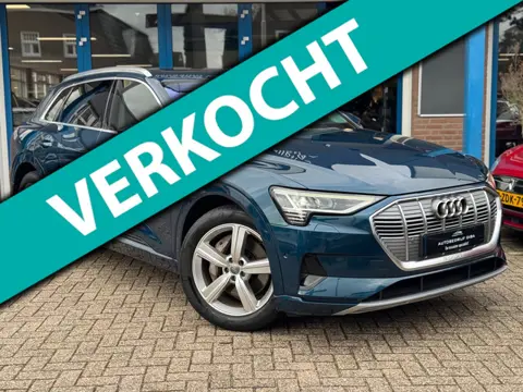 Audi E-tron E-tron 50 quattro Launch edition plus 71 kWh NAP