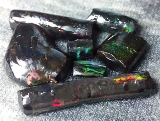 23,7 ct - 7 natuurlijke zwarte opaal - Hout Fossiel -