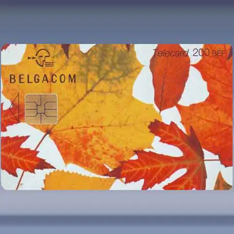 Leaves Yellow (2000)