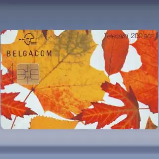 Leaves Yellow (2000)