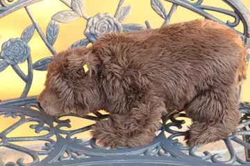 Steiff - Vintage - EAN 069734 - bruinbeer Petz - 1990-1999