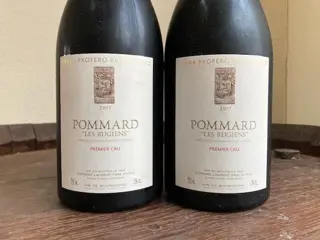 2017 Pommard 1° Cru "Les Rugiens" - Domaine Laurent Père