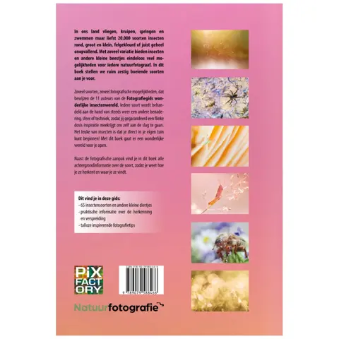 Fotografiegids wonderlijke insectenwereld