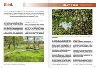 Fotografiegids planten en paddenstoelen