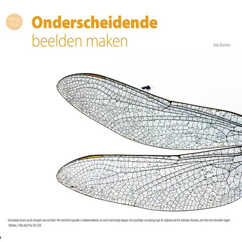 Handboek Macrofotografie