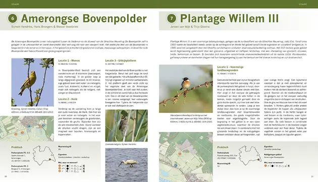 De beste vogelgebieden van Nederland