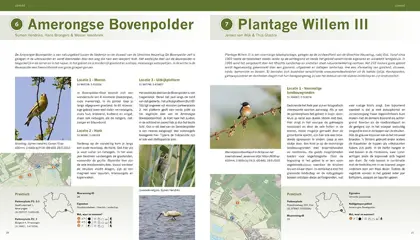 De beste vogelgebieden van Nederland