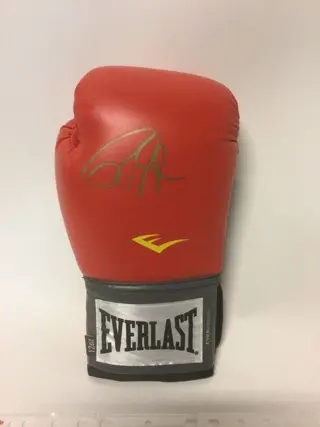 Boksen - Roy Jones - Bokshandschoen