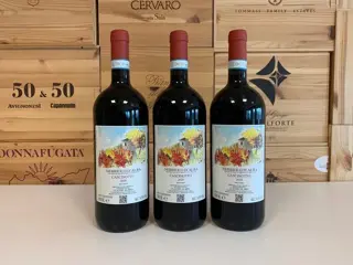 2020 Alario Claudio Nebbiolo d'Alba "Cascinotto" - Piëmont