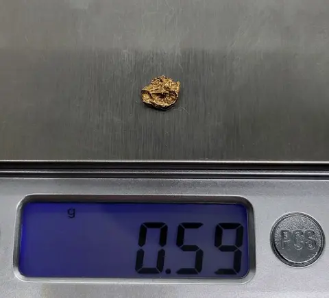 Goud natuurlijk goudklompje Australië - 0,59 g - (1)