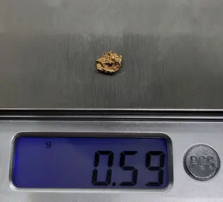 Goud natuurlijk goudklompje Australië - 0,59 g - (1)