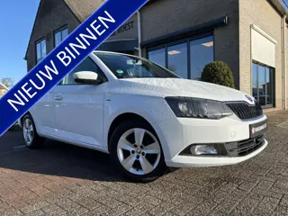 Škoda Fabia Combi 1.0 TSI Clever Navigatie / All-Seasons / Parkeersensors