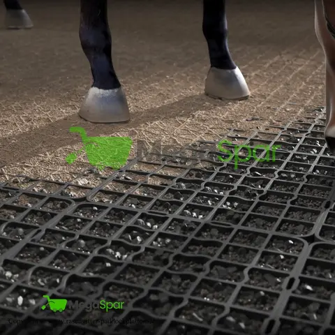 Rasroosters - kunststof & Grasroosters parkeerplaats