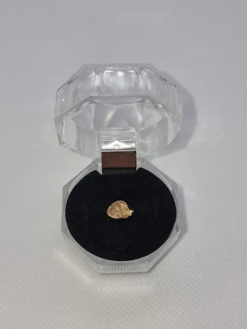 Goud natuurlijk goudklompje Australië - 0,59 g - (1)