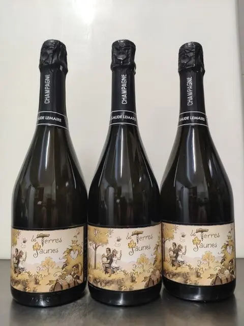 2019 Lemaire, Les Terres Jaunes - Champagne Brut Nature - 3