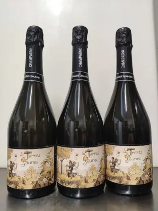 2019 Lemaire, Les Terres Jaunes - Champagne Brut Nature - 3