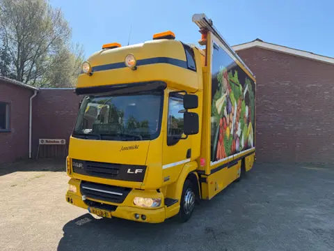 DAF LF 250 / Thermo King MD-300 / Dhollandia Laadklep / Automaat / Airco / Euro5 / Topsleeper