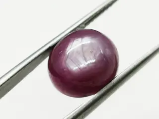 Robijn - 14.38 ct