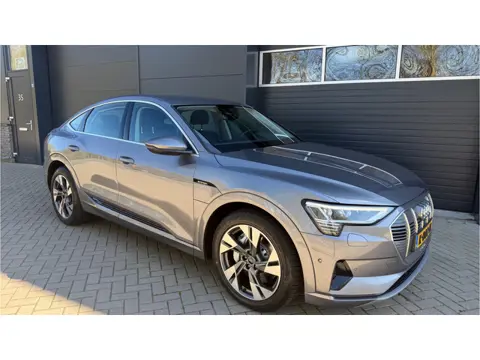 Audi e-tron Sportback 55 quattro Business edition 95 kWh Interieurvoorverwarming / DAB
