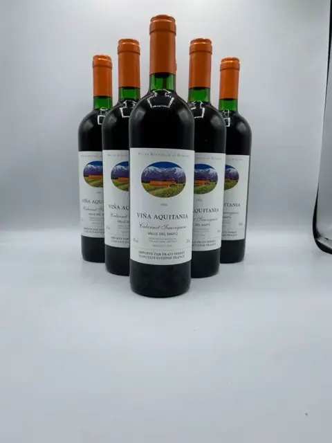 1994 Vina Aquitania Santiago, Valle del Maipo - Maipo