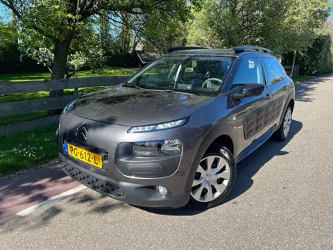 Citroen C4 Cactus 1.2 PureTech Business Navi PDC