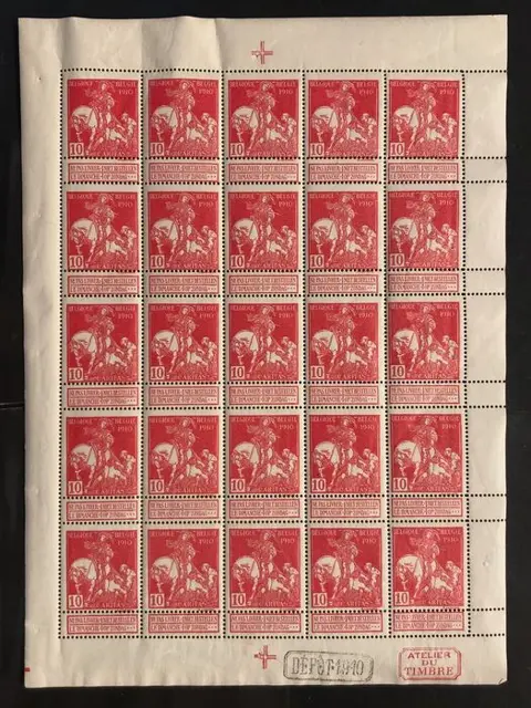 België 1910/1910 - Caritas - 10c Type Lemaire (effen achtergrond) in VOLLEDIG VEL - POSTFRIS - OBP F91