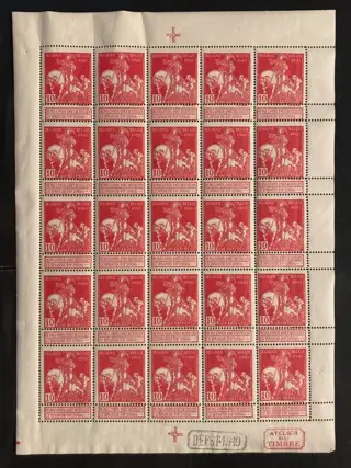 België 1910/1910 - Caritas - 10c Type Lemaire (effen achtergrond) in VOLLEDIG VEL - POSTFRIS - OBP F91