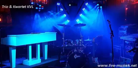 Drive-in show, karaoke show, eenmansorkest, duo, bands