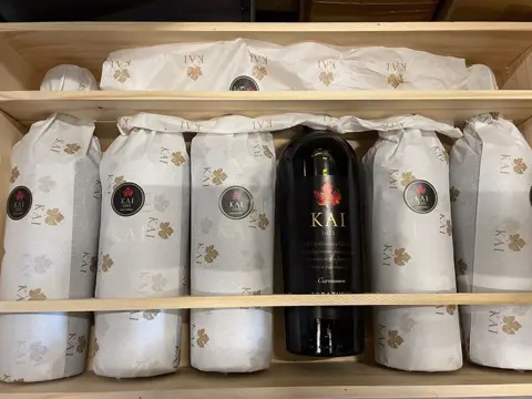 2015 Errazuriz 'Kai' Carmenere - Aconcagua Vallei - 6