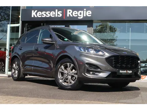 Ford Kuga 1.5 EcoBoost ST-Line | Keyless | CarPlay | Stuur/Stoelverwarming | Sensoren | Navi | DAB |