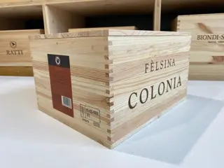 2017 Fattoria di Felsina "Colonia" - Chianti Classico Gran