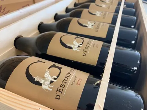 2019 G d'Estournel, 3th wine of Ch. Cos d'Estournel - Médoc