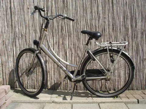 Batavus Diva met naafdynamo en rollerbrakes