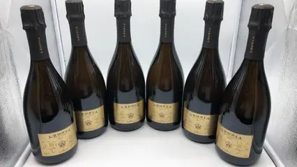 2017 Frescobaldi, Leonia Pomino Brut - Toscane - 6 Flessen