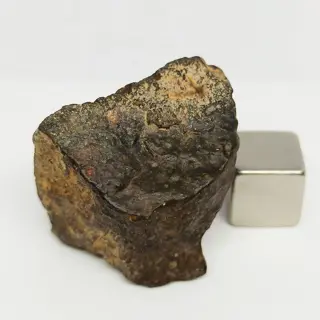 RUMURUTI R3 meteoriet. NWA 14126 (Mauritanië, 2021)
