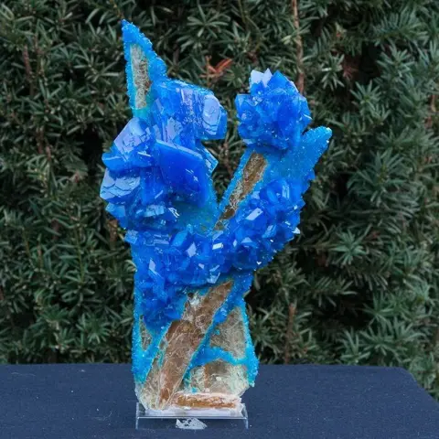 Large XXXL blue chalcantite on gypsum matrix - 28×17×5 cm -
