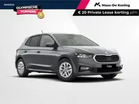 Škoda Fabia Selection 1.0 TSI 85 kW / 115 PK Hatchback 7 versn DSG | |  Sunset | 15 inch velgen Rota