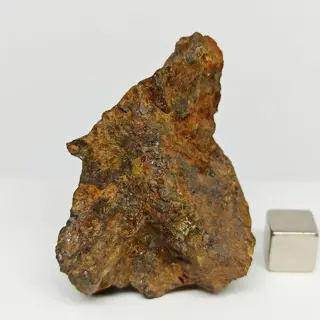 PALLASIET Meteoriet. SERICHO (Kenia, 2016) Zonder