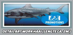 verhuur haai beachvolleybal veld opblaasbaar apeldoorn arnhem t. 0599 416200