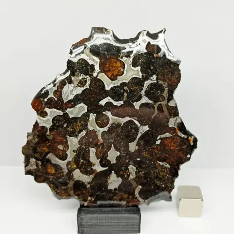 XL doorschijnende PALLASITE meteoriet. SERICHO (Kenia