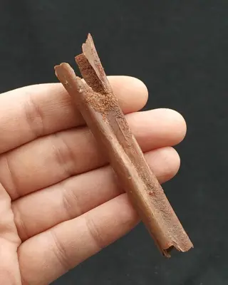 Pterosauriërbot - fragment - matrixvrij - Kem Kem Beds -