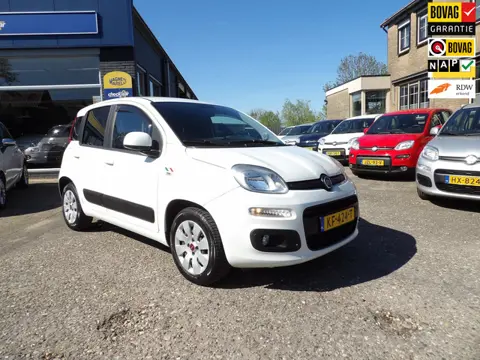 Fiat Panda 1.2 Lounge / 4-Cilinder / Airco / Rijklaarprijs