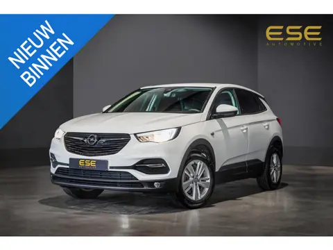 Opel Grandland X 1.2 Turbo Online Edition | D-riem vervangen | Cruise | Carplay | Navigatie